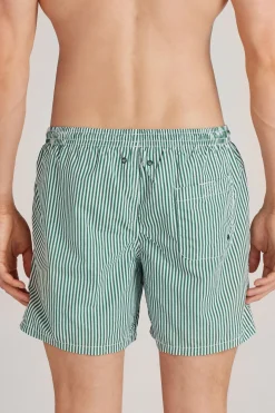 Boxer de bain imprimÉ rayÉ vert