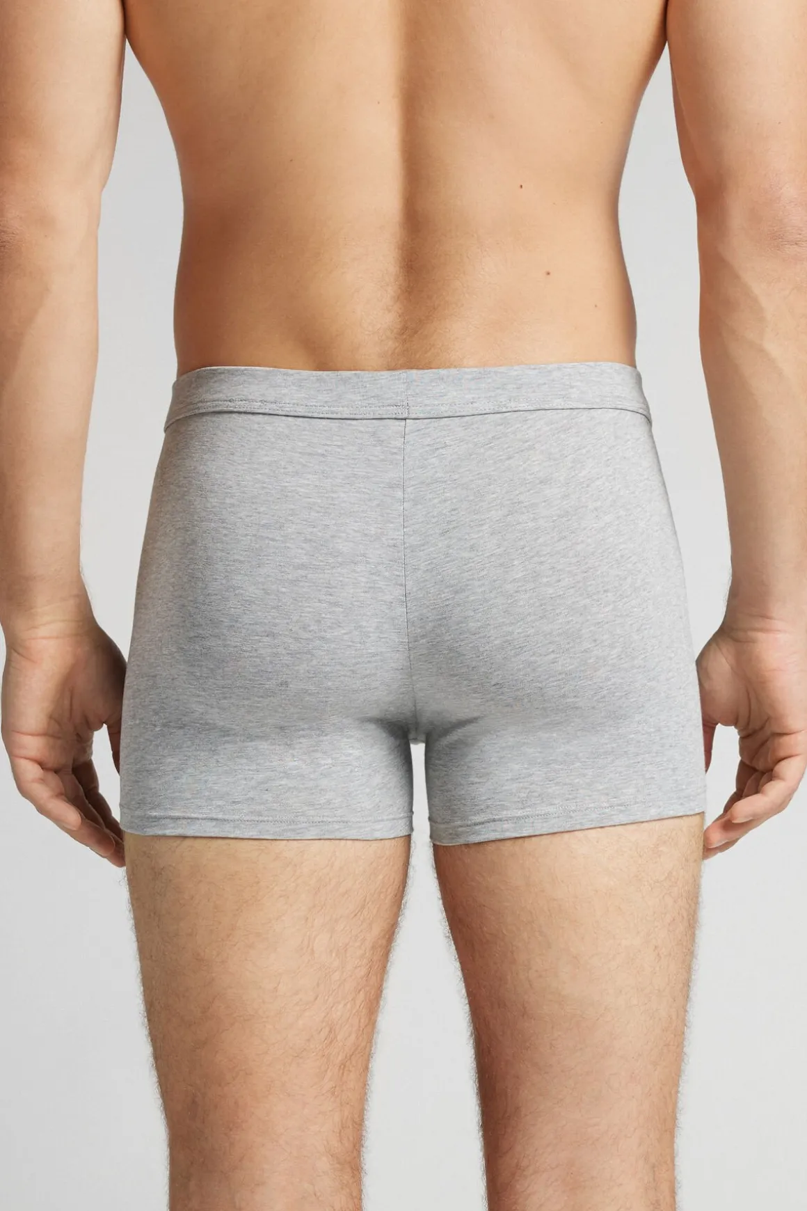 Boxer The Indestructible en Coton Superior