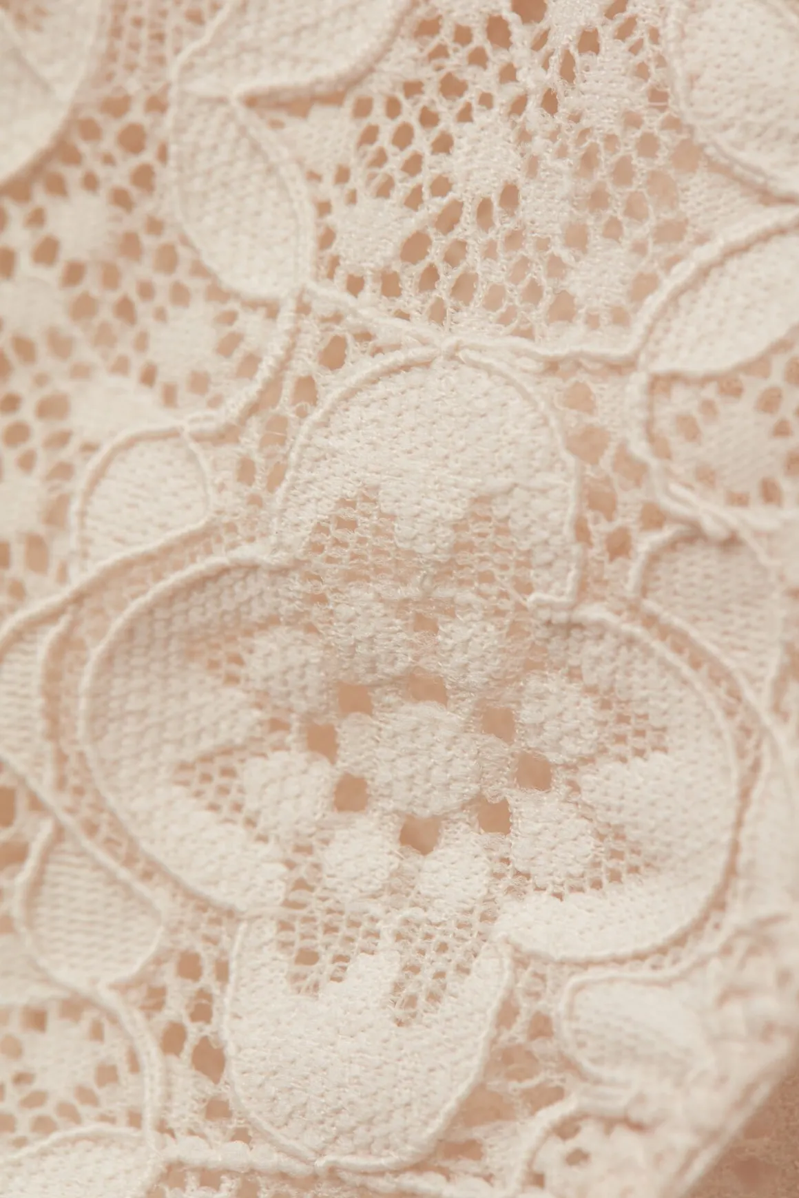 Culotte en Dentelle à Taille Basse